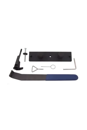 CONJUNTO DE REGLAJE PARA MOTORES VAG FSI Compra Ahora