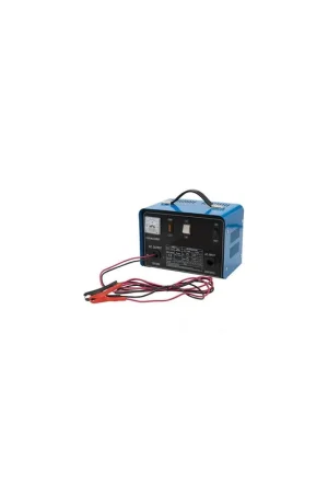 Envío Exprés CARGADOR Baterías 12/24 V PARA Baterías DE 12 - 70 AM