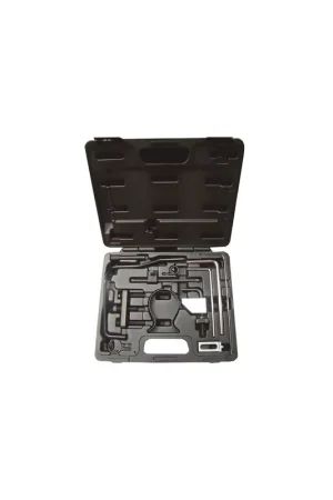 CONJUNTO DE REGLAJE DIESEL - GRUPO PSA & FIAT DW 10 & DW 12 Compra Ahora
