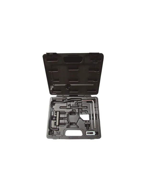 CONJUNTO DE REGLAJE DIESEL - GRUPO PSA & FIAT DW 10 & DW 12 Compra Ahora