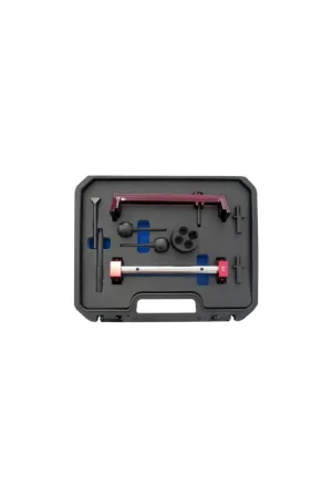 Profesional CONJUNTO REGLAJE BMW S54