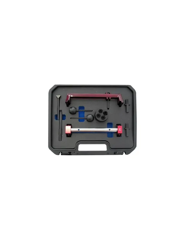 Profesional CONJUNTO REGLAJE BMW S54