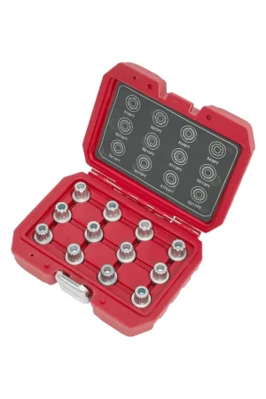 Económico Juego de vasos para tornillos antirrobo en llantas vag (audi, seat, skoda, volkswagen) 6 a 17 puntas