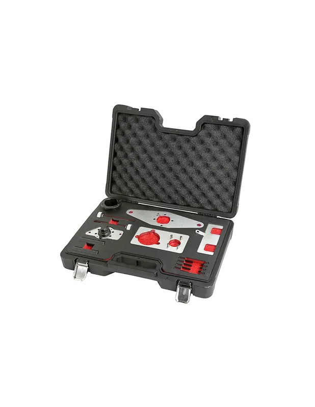 Calado de distribucion para JAGUAR, LAND ROVER, RANGE ROVER, JLR motores ingenium 2.0 DIESEL Ordenar Ahora Mismo