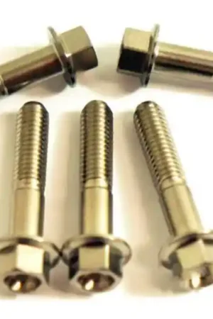 Tornillo hexagonal Pro Bolt M6x1.00 35mm Inoxidable V4A Hecho A Mano