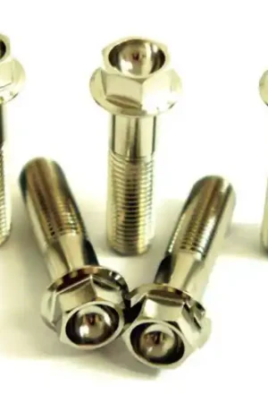 Novedad Tornillo hexagonal Pro Bolt M6x1.00 40mm Inoxidable V4A