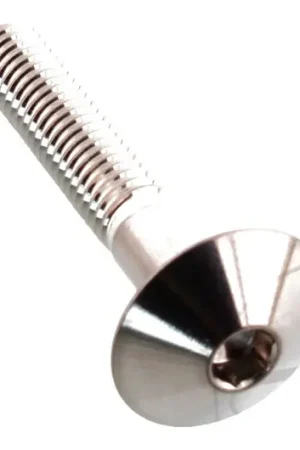 Tornillo allen alomado Pro Bolt Cabeza Grande (16mm) M6x1.00mm 35mm Inoxidable V4A Mejor Precio