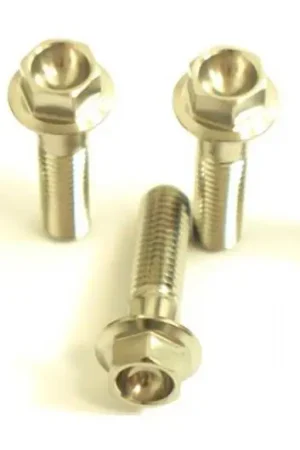 Tornillo hexagonal Pro Bolt M8x1.25 25mm Inoxidable V4A Oferta De Temporada
