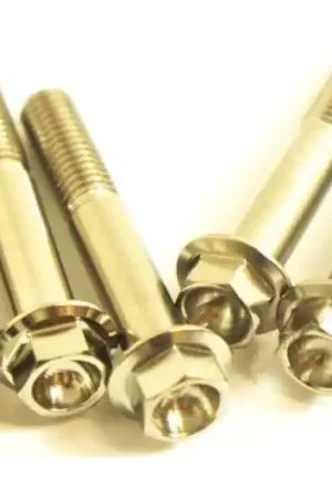 Tornillo hexagonal Pro Bolt M8x1.25 45mm Inoxidable V4A Súper Precio
