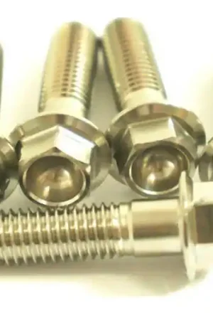 Tornillo hexagonal Pro Bolt M8x1.25 30mm Inoxidable V4A Pedido Al Por Mayor