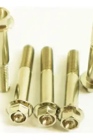 Tornillo hexagonal Pro Bolt M8x1.25 50mm Inoxidable V4A Económico