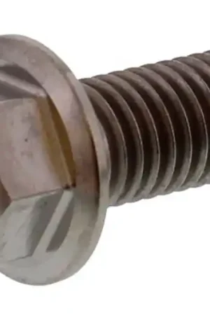 Tornillo hexagonal Pro Bolt M8X1.25 20mm Titanio Alta Calidad