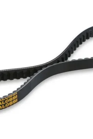 Correa Malossi X-Special Belt | Piaggio Grillo Solo Por Tiempo Limitado
