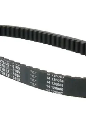 Mejor Calidad Correa Dayco 22.0 X 778 Estándar | Yamaha XC 125 T / MBK XC 125 R ...