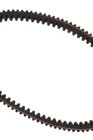 Correa Mitsuboshi 32.4x894 | BMW C 600 2012-2015 / C 650 2012-2019 Precio De Fábrica