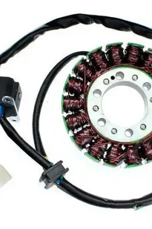 Stator de encendido TourMax | Hyosung GT 650 2004-2007 De Moda