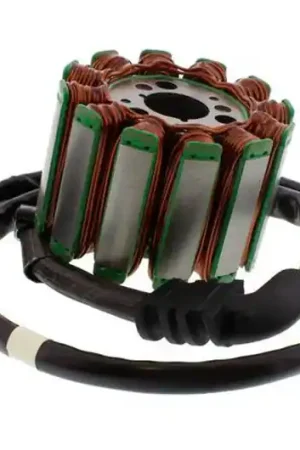 Profesional Stator de encendido TourMax | Yamaha YZF-R1 1000 / FZ1 1000 S ...
