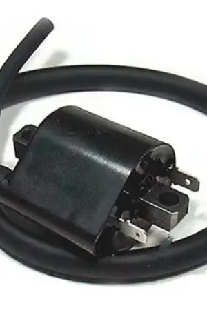 Hecho A Mano Bobina de encendido TourMax Tipo 2 12V | Suzuki SV 1000 / SV 1000 U2 ...