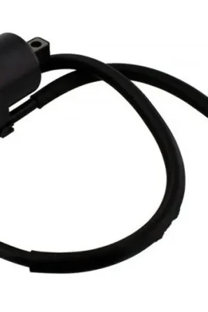 Entrega Rápida Bobina de encendido OEM Tipo 2 | Suzuki GSX-R 750 W 1992-1995 / GSX-R 1100 W 1993-1994