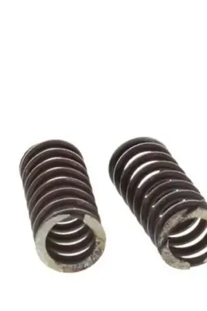 Compra Hoy Muelles de embrague TRW 10% Reforzado x4 | Honda CB 600 F / CBF 600 N ...