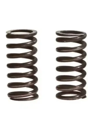 Precio Económico Muelles de embrague TRW 10% Reforzado x4 | Honda CBR 600 F / CB 400 N ...