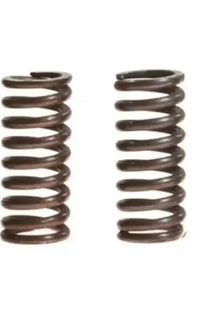 Muelles de embrague TRW 10% Reforzado x4 | Yamaha SR 125 1996-2002 Profesional