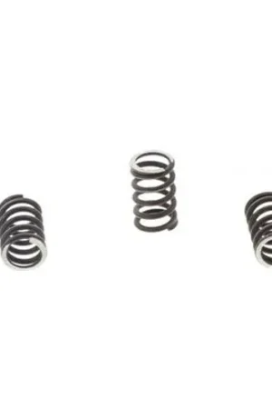 Auténtico Muelles de embrague TRW 10% Reforzado x5 | Kawasaki W 650 A / W 650 C ...