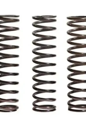 Muelles de embrague TRW 10% Reforzado x5 | Suzuki GSX-R 1000 / Kawasaki ZX-9R 900 F ... Liquidación