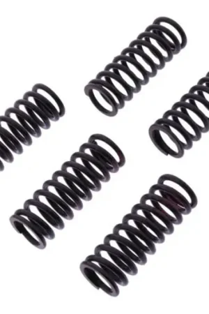 Muelles de embrague TRW 10% Reforzado x5 | Honda CBR 1000 RR 2004-2007 Popular