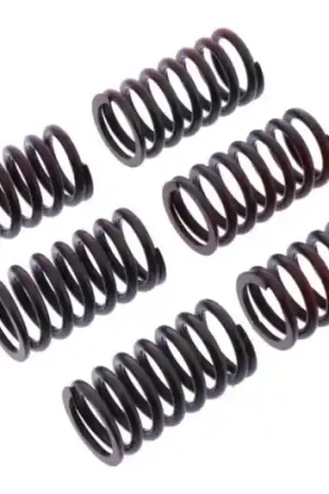 Rebajas Muelles de embrague TRW 10% Reforzado x6 | Ducati Monster 1000 S2R / 996 996 ...