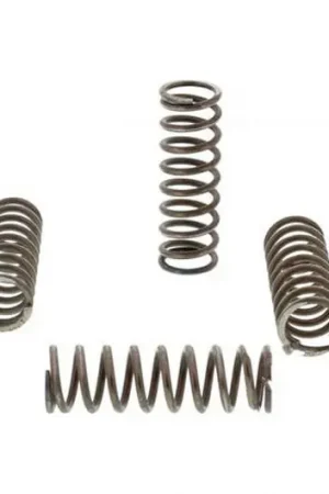 A Buen Precio Muelles de embrague TRW 10% Reforzado x6 | Honda VTR 1000 SP2 / Suzuki GS 500 E ...