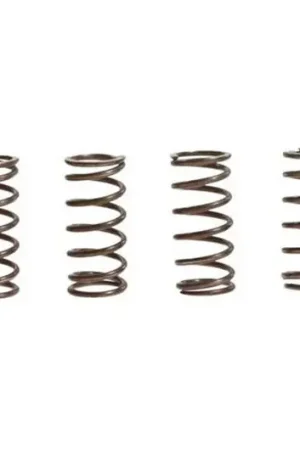 Rebajas Muelles de embrague TRW 10% Reforzado x6 | Kawasaki ZX-9R 900 B / ZX-7R 750 P ...