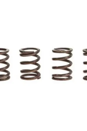 Muelles de embrague TRW 10% Reforzado x6 | Suzuki GSX 1300 R / GSX 1300 RU2Z ... Barato