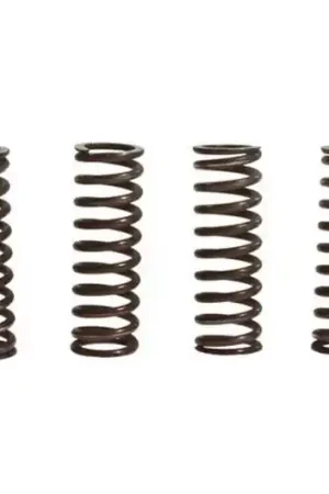 Muelles de embrague TRW 10% Reforzado x6 | Suzuki GSX-R 600 / GSX-R 750 U2 ... Oferta Flash