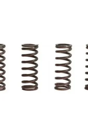 Muelles de embrague TRW 10% Reforzado x6 | Yamaha YZF-R6 600 2007 / YZF-R6 600 S 2006-2007 Mayoreo