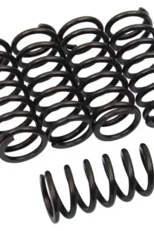 Mejor Precio Muelles de embrague Barnett | Honda CBR 600 RR / Suzuki 600 GSXR 2001-2003