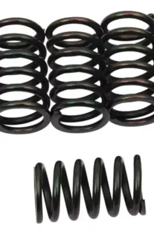 No Te Lo Pierdas Muelles de embrague Barnett | Kawasaki ZX7R Ninja 1996-2003