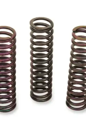 Novedad Muelles de embrague Barnett | Suzuki 1000 GSXR 2001-2004