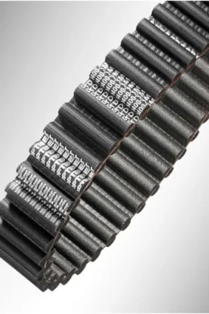 Correa de doble dentado OPTIBELT de Caucho, 190 dientes con paso de 8mm, dim: 1520mm x 50mm Nuevo Modelo