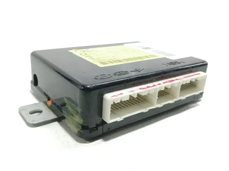 Imprescindible (Must-Have) CENTRALITA CHECK CONTROL 97RA010032 4838731000 954001F400