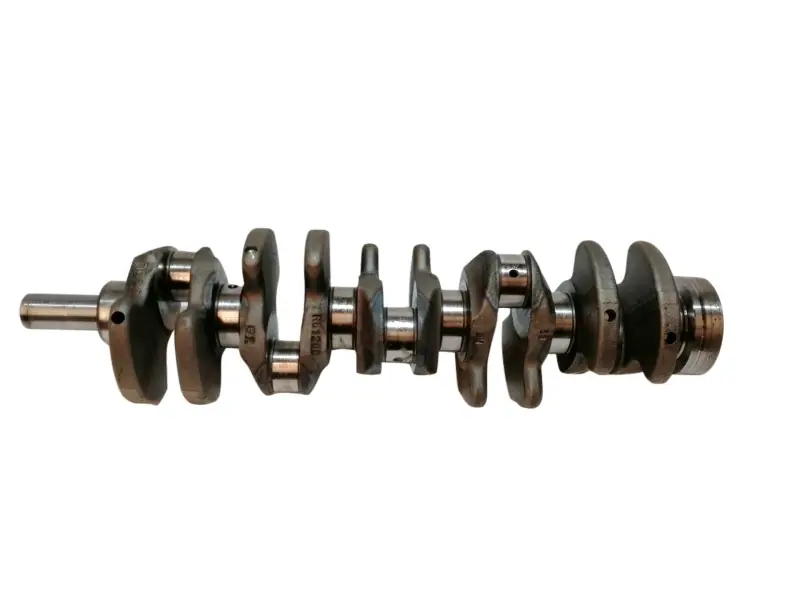 CIGUEÑAL 61200070703 Oferta De Temporada