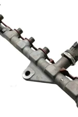 RAMPA INYECTORA 8200620689 H8200576687 0445214113 014795L4 Premium