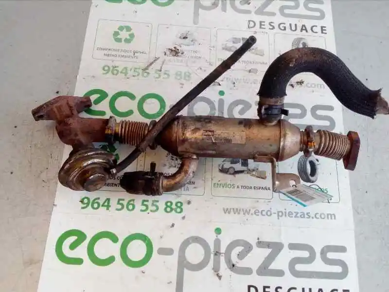 ENFRIADOR EGR 9627242880 Favorito De Clientes
