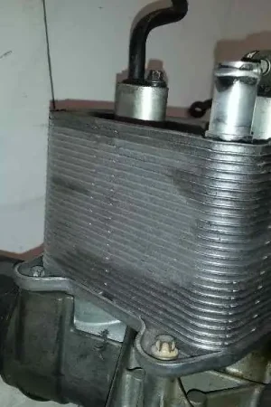 Última Oportunidad ENFRIADOR ACEITE MOTOR R61101511024