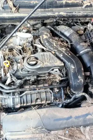 MOTOR COMPLETO DXDB Edición Limitada