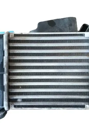 Económico INTERCOOLER 51819186 887451000