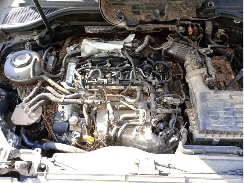 Edición Limitada MOTOR COMPLETO DGTE