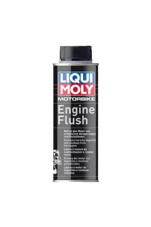 Última Versión DETERGENTE LIMPIADOR MOTORES 4 TIEMPOS 250ML